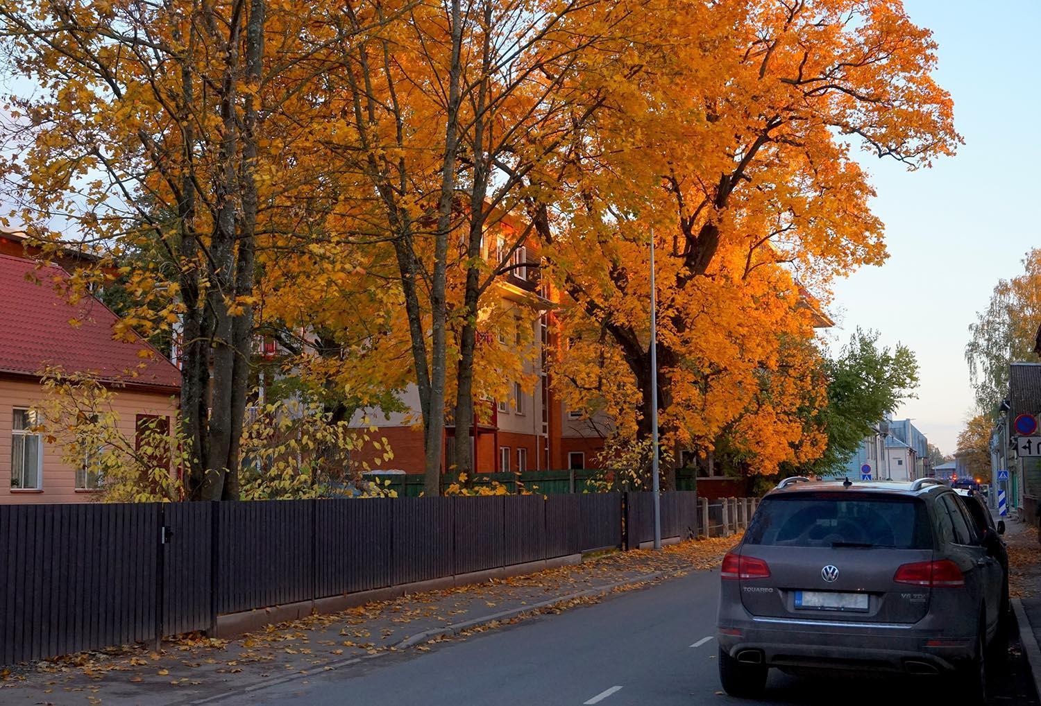 Quiet Romantic Studio Plus Parking, Tartu Home Экстерьер фото