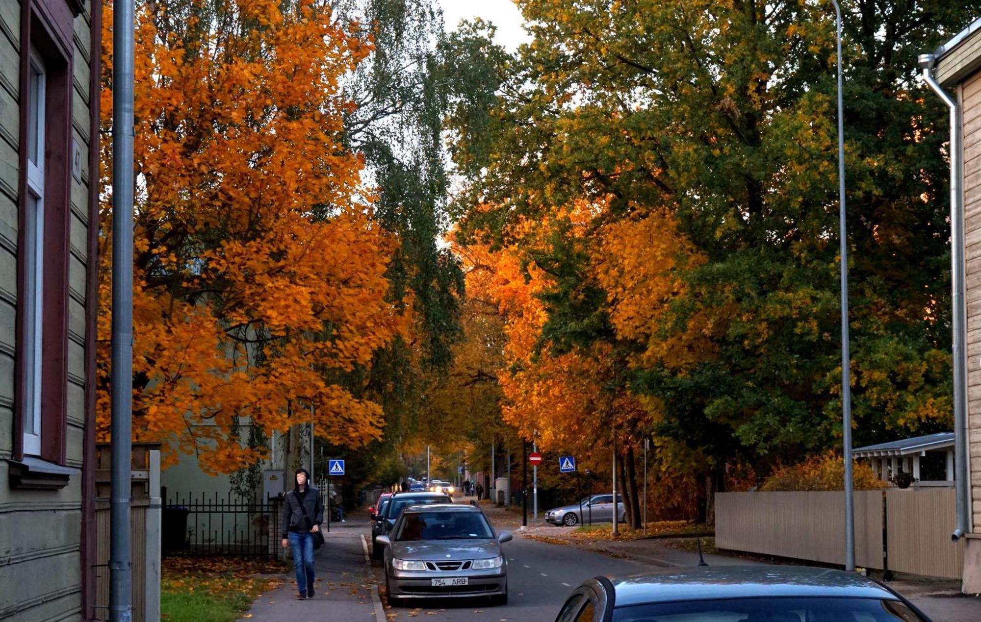 Quiet Romantic Studio Plus Parking, Tartu Home Экстерьер фото